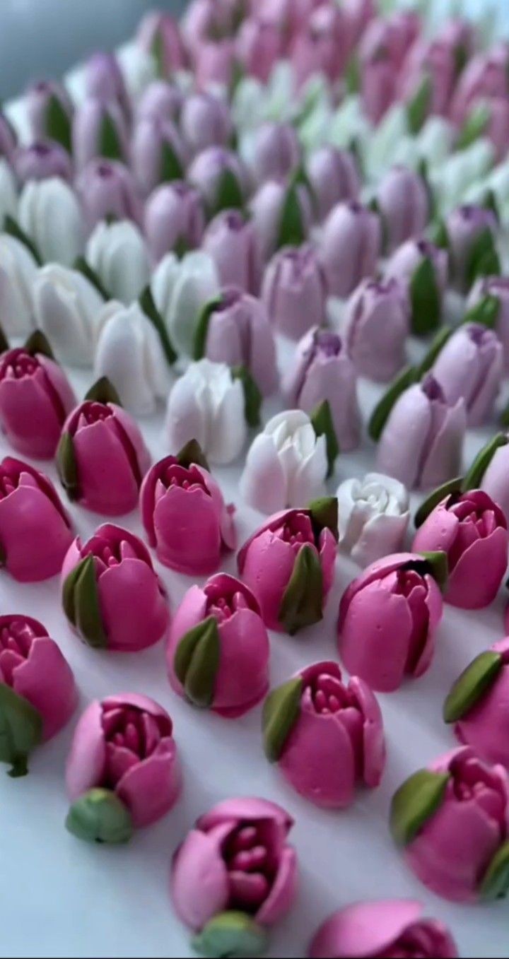 الأقماع الروسية